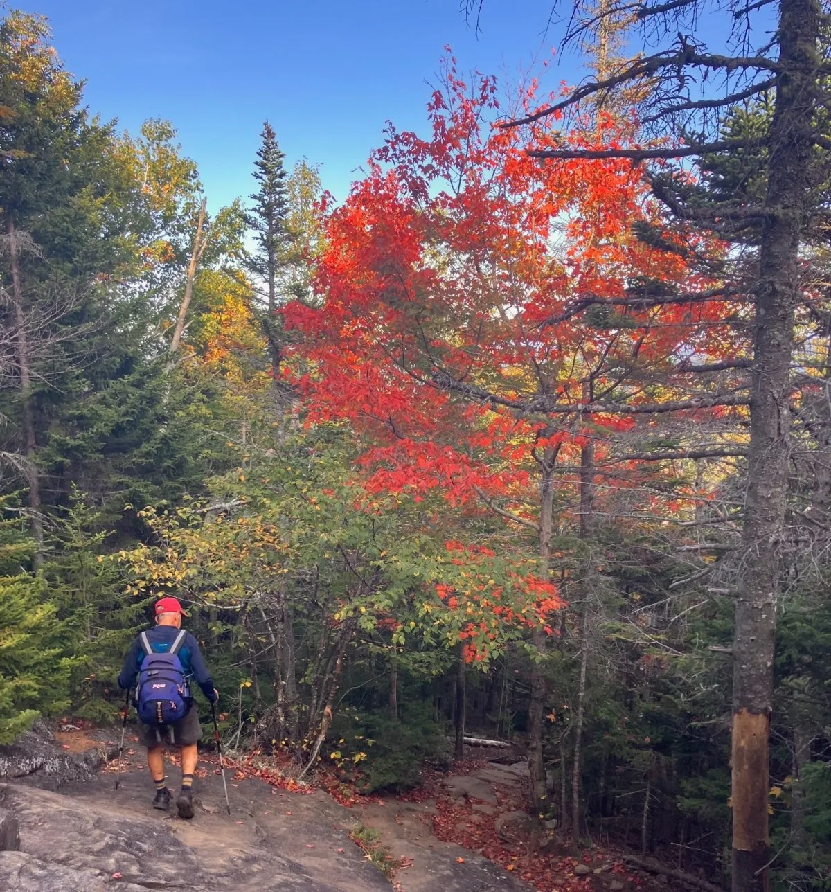 Hiker fall colors