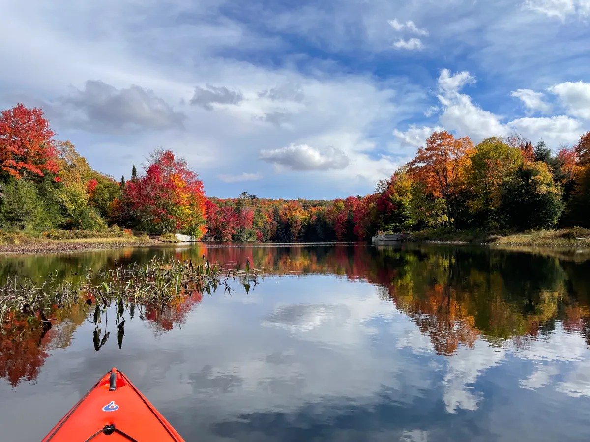 Moose River fall colors