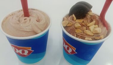 5 Ordering Tips To Get The Best Dairy Queen Blizzard