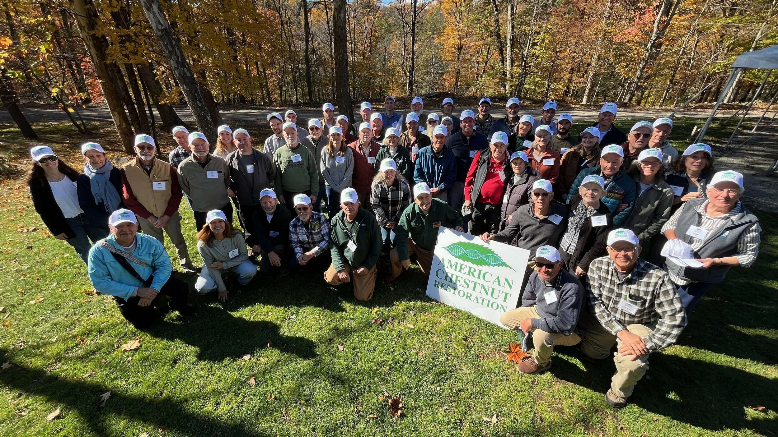 New York City is expanding efforts to restore the American chestnut, with 25 hybrid saplings now planted at the Bronx Zoo as part of a wider conservation drive. (Photo: American Chestnut.org) New York City is expanding efforts to restore the American chestnut, with 25 hybrid saplings now planted at the Bronx Zoo as part of a wider conservation drive.