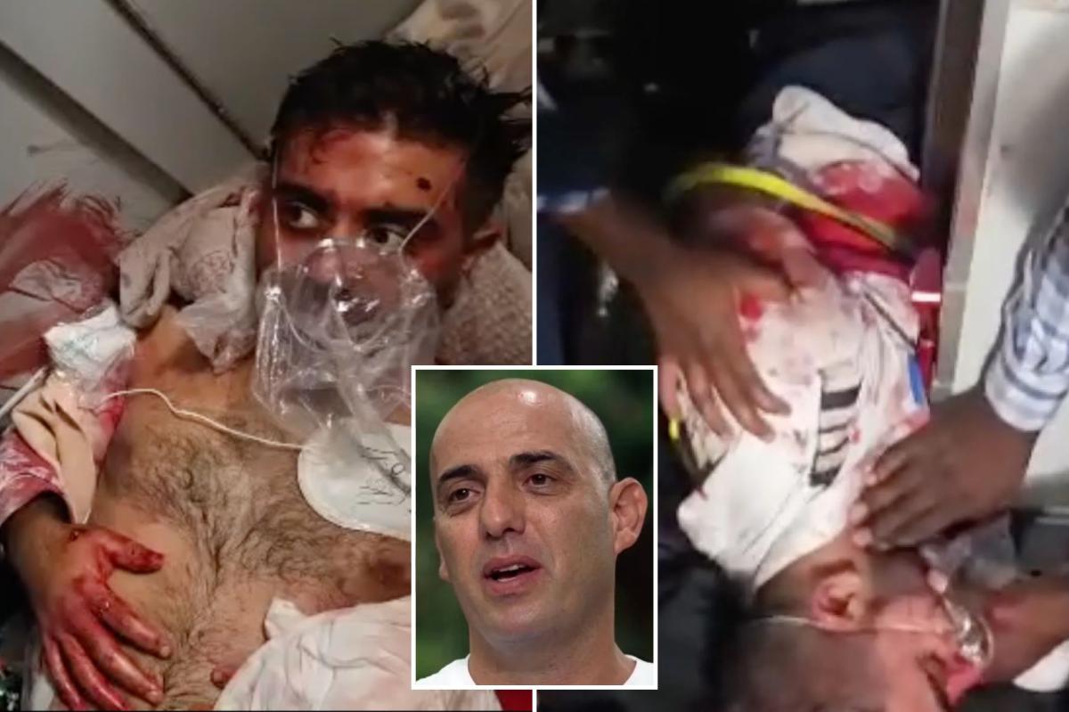 Crew of hijacked flydubai plane fought with Israeli passengers to free the terrorist