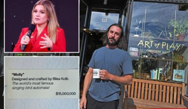 Kelly Clarkson's mad she was 'treated like everyone else,' made Brooklyn toy shop target of sick threats: furious owner