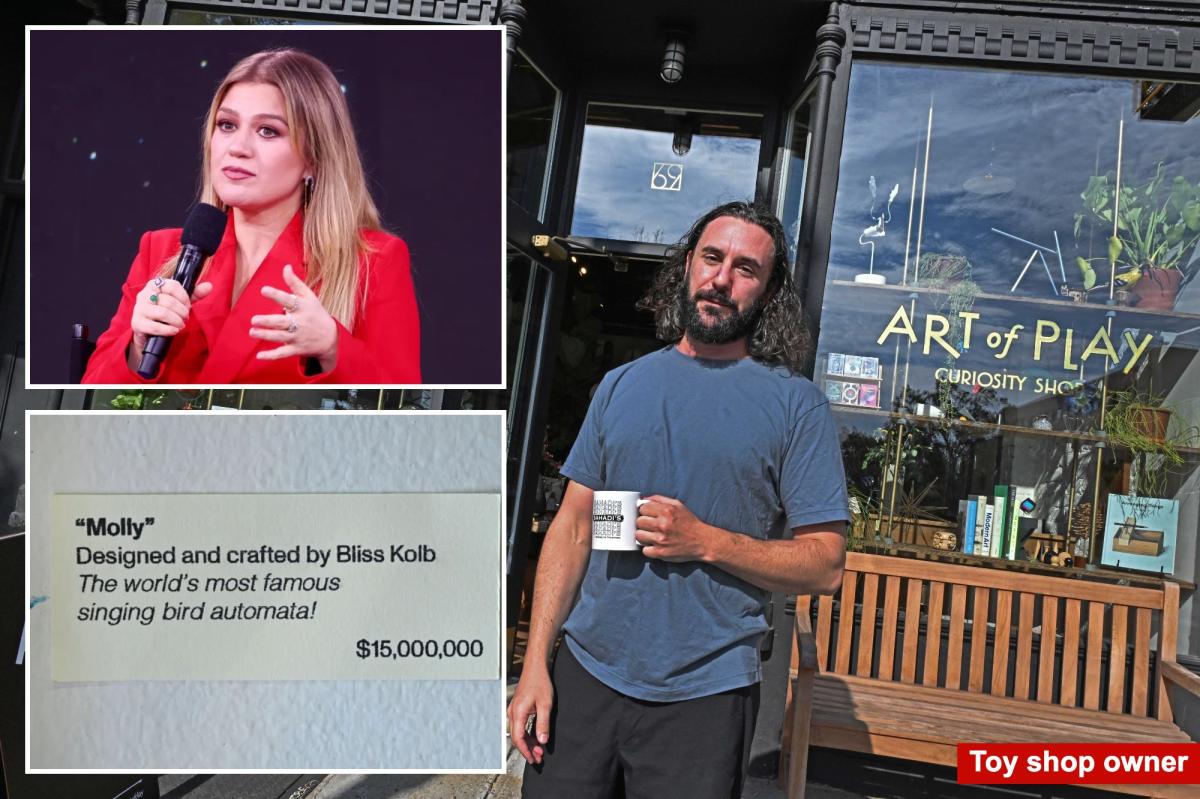 Kelly Clarkson's mad she was 'treated like everyone else,' made Brooklyn toy shop target of sick threats: furious owner