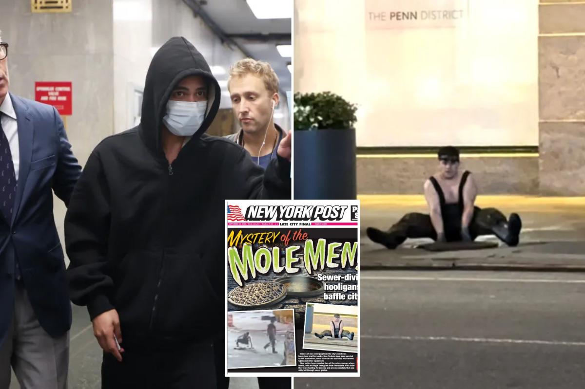 ICE arrests migrant 'mole man' who emerged from NYC sewer — after judge released him
