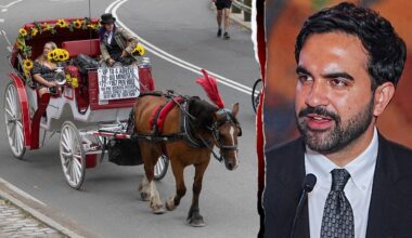 NYC Council set to ban Central Park horse-drawn carriages in 2028
