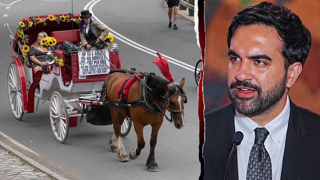 NYC Council set to ban Central Park horse-drawn carriages in 2028