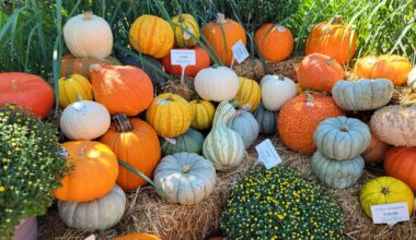 People, programs and events making a difference this fall