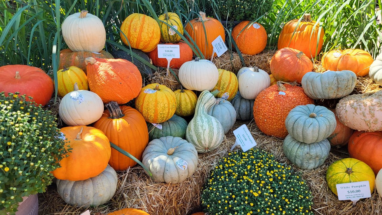 People, programs and events making a difference this fall