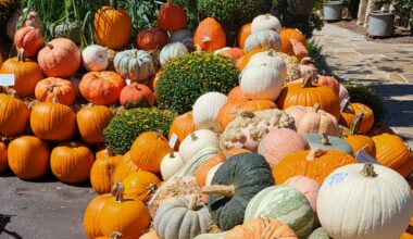 Return of the YMCA Oswego Pumpkin Festival