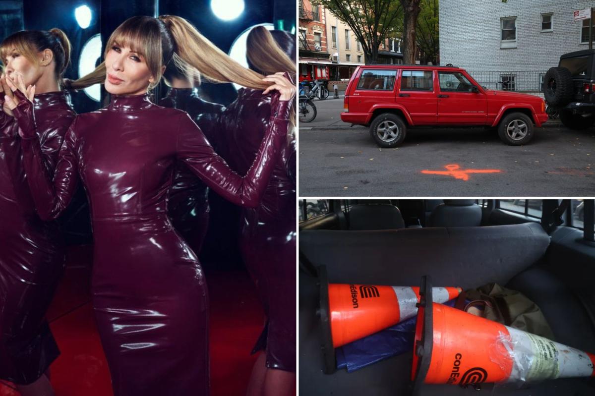 RHONY's Carole Radziwill racks up $8K in traffic fines despite placard abuse