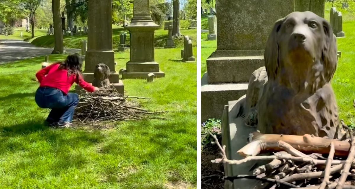 New York, cemetery near me, dogs