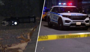 Girl rushed to hospital after getting shot twice in the Bronx – NBC New York
