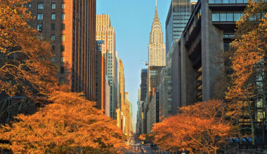 The Chrysler Building towers over a New York City street framed by trees with golden autumn leaves, a classic fixture of the Manhattan real estate market.