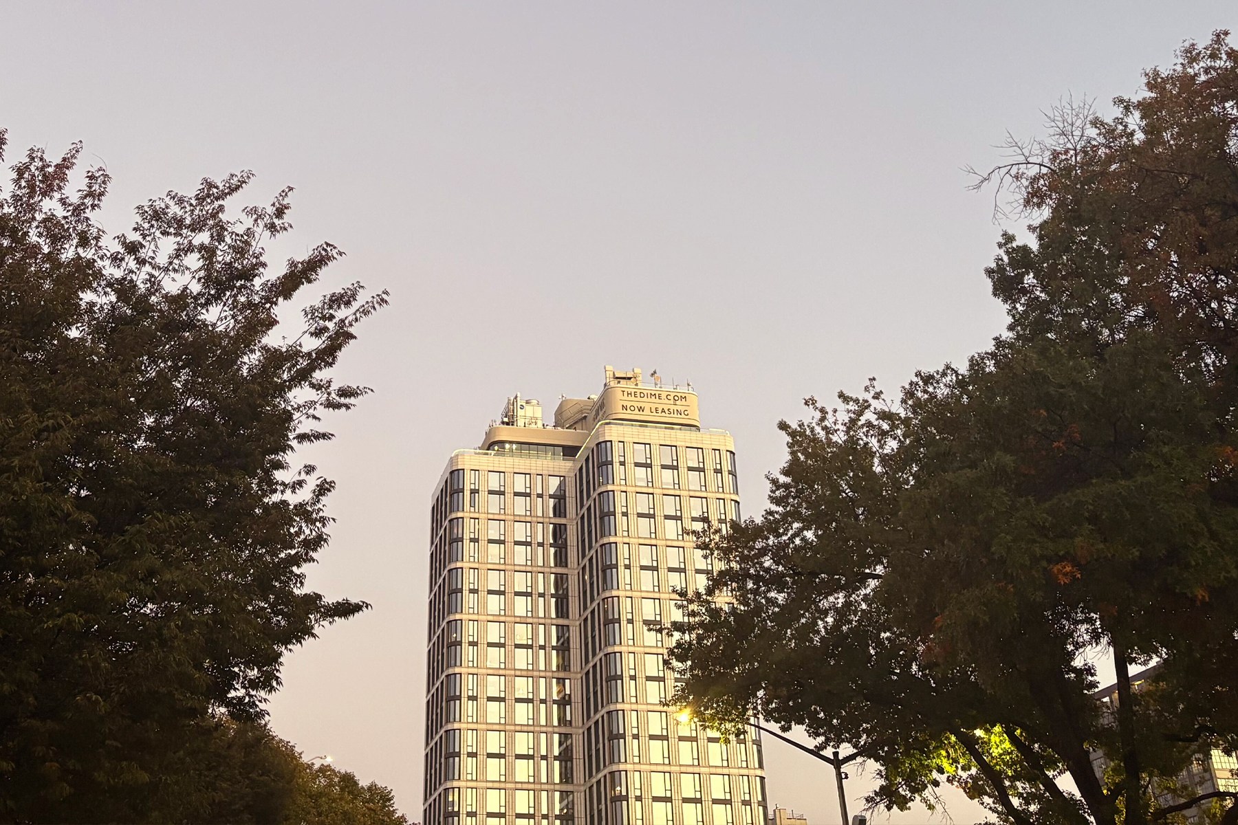 The Dime building, a tall, modern high-rise with many windows, framed by dark green trees against a pale sky.