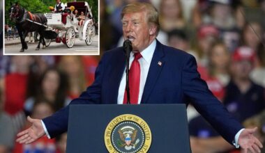 Trump slams NYC's horse carriage ban, calling Central Park activity 'a great tradition'
