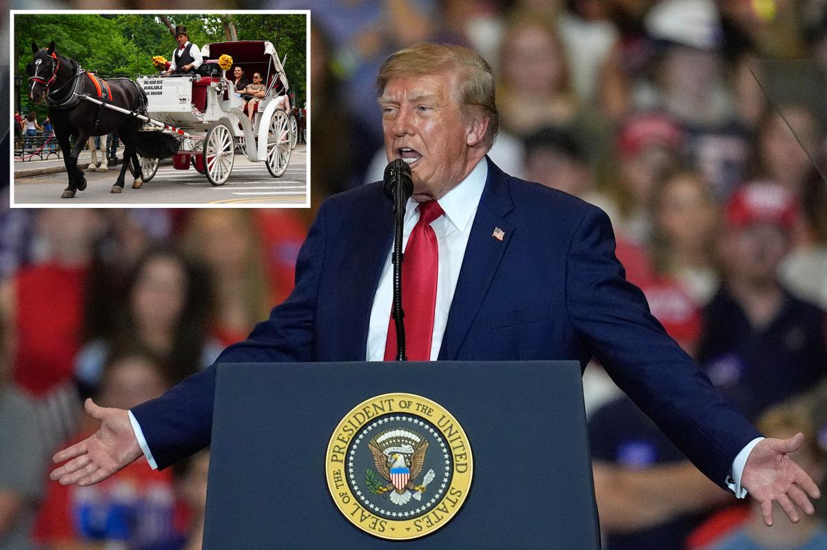 Trump slams NYC's horse carriage ban, calling Central Park activity 'a great tradition'
