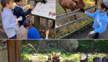Darchai Menachem Trip to Queens Zoo Brings Parsha to Life