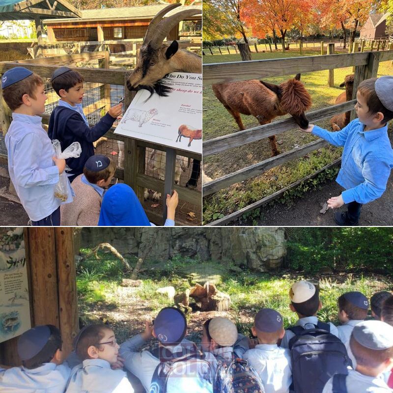 Darchai Menachem Trip to Queens Zoo Brings Parsha to Life