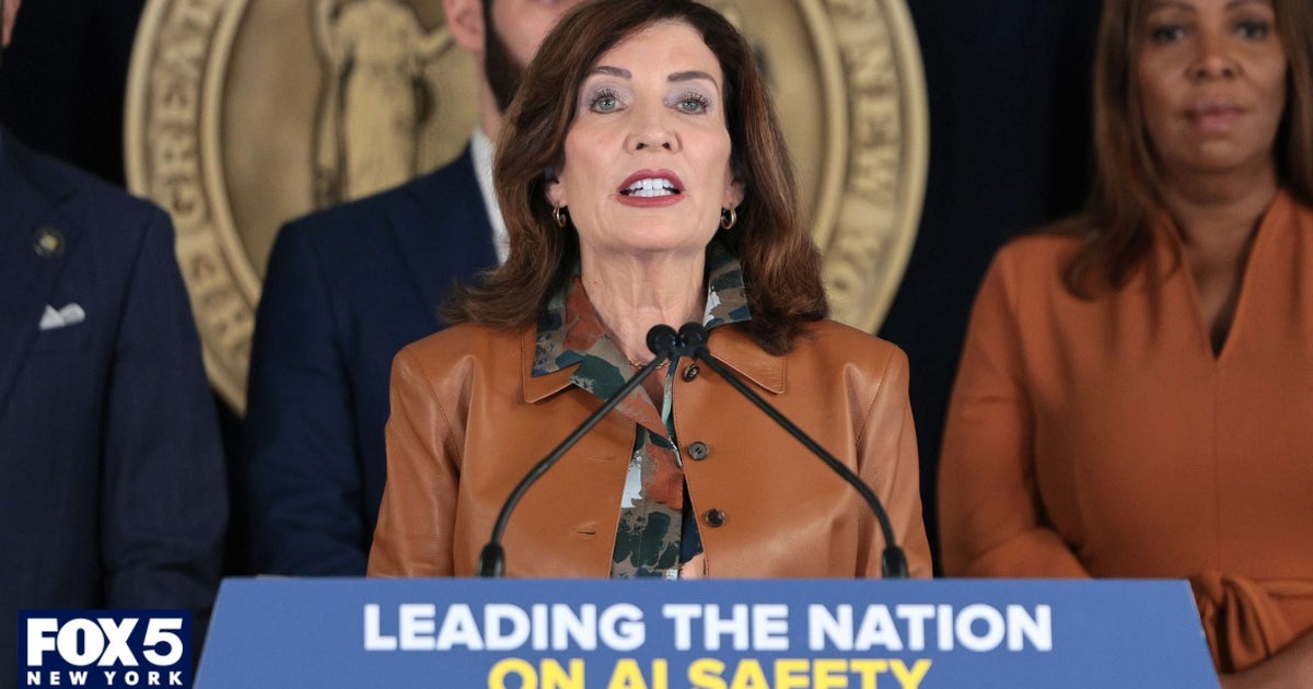Hochul announces launch of AI-focused training hub