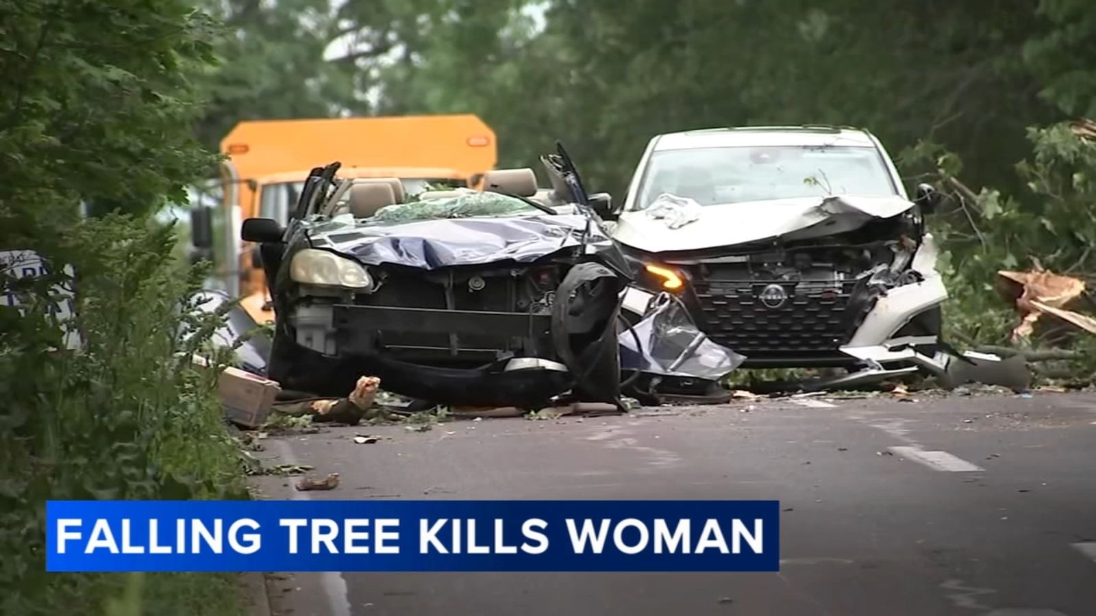 Woman killed, another hurt after tree falls on vehicles in Wynnewood, Montgomery County