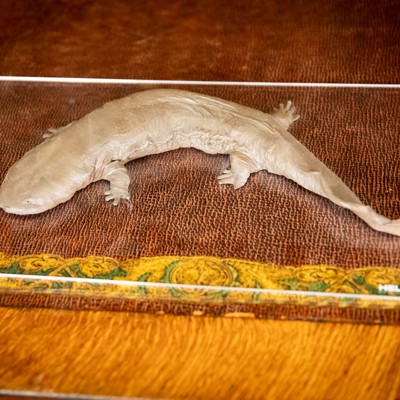 How to have a very Pennsylvania Halloween – costume edition