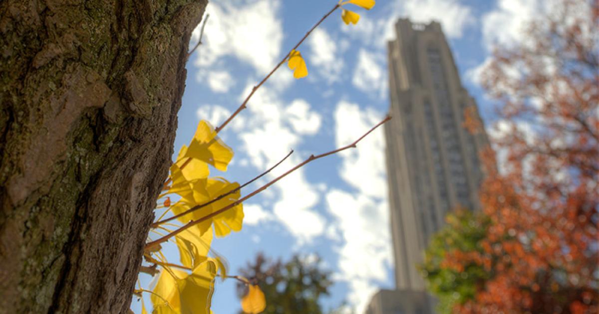Karen Arndt will give a lecture at a Genetics Society of America gathering