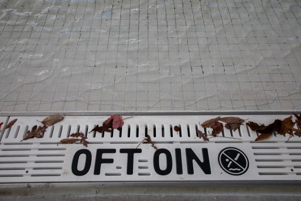 Leaves on the edge of the pool at Nay Aug...