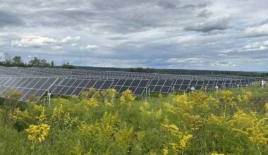 GS Power Partners Acquires Hof Community Solar Project to Advance Education and Biodiversity in Bethlehem, NY