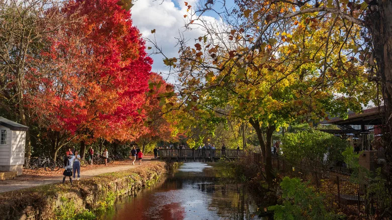 The canal in Lambertville in autumn
