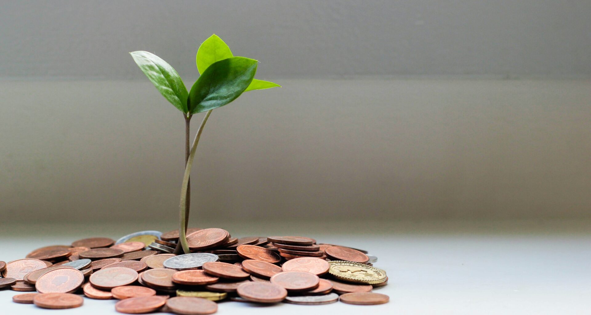 Rep. Guzman Secures $1.7 Million for Affordable Senior Housing