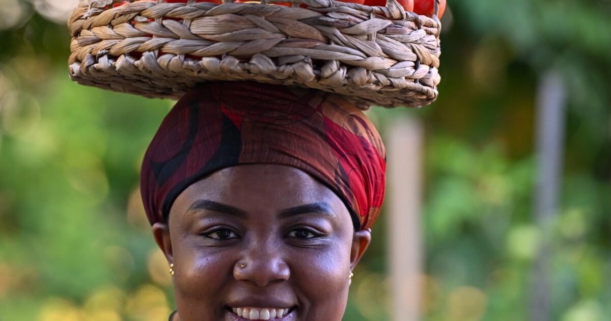 Congolese refugees grow crops and community in South Scranton
