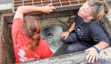 Mighty Pawz, others rescue kitten at mall – Lehigh Valley Press