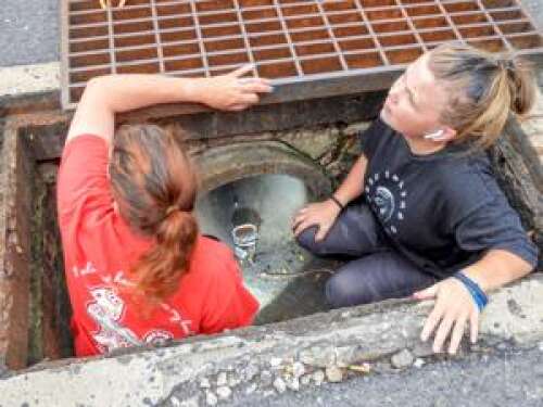 Mighty Pawz, others rescue kitten at mall – Lehigh Valley Press