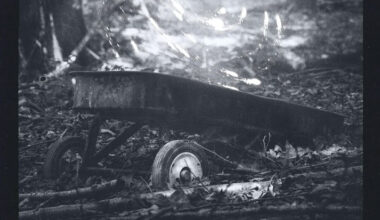 Album Review // Brian the Fly // Messengers