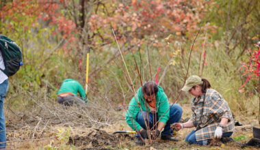 A full schedule of volunteer opportunities is available online.