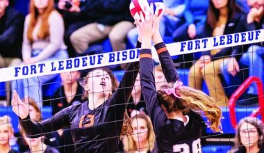 Beavers rock Ramblers in D-10 championship | Sports