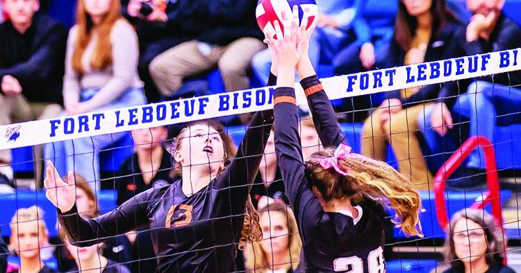 Beavers rock Ramblers in D-10 championship | Sports