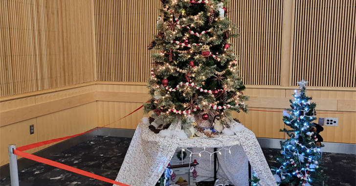 A Festive Affair: AHN Saint Vincent’s Festival of Trees 2025 | News