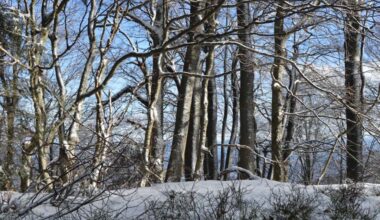 Lackawanna County issues Code Blue weather alert for tonight