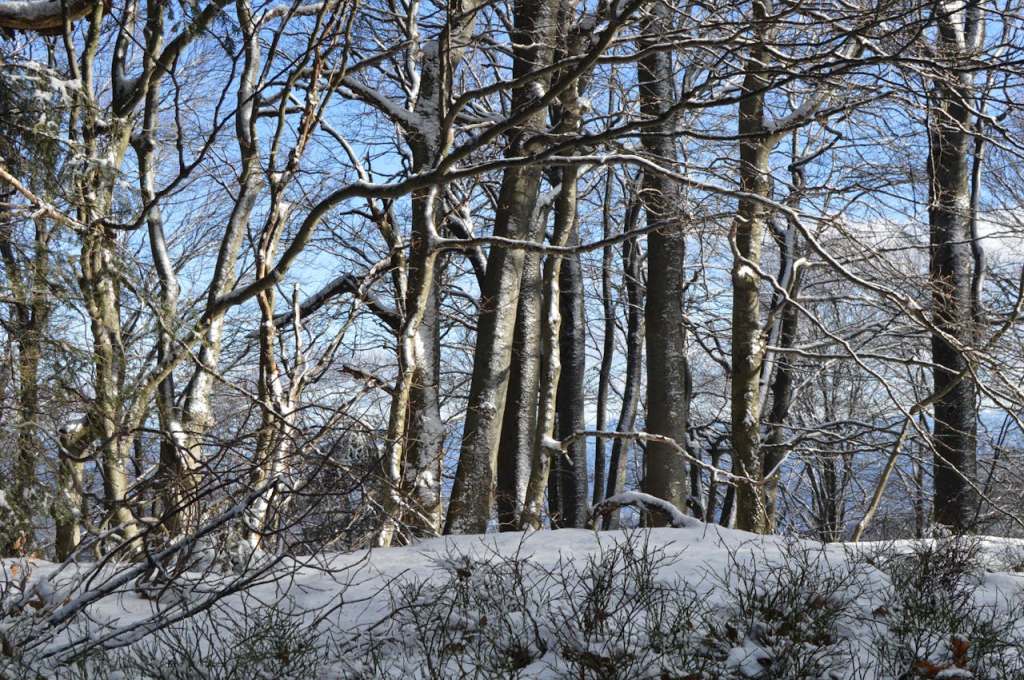 Lackawanna County issues Code Blue weather alert for tonight