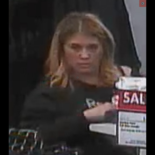 Bensalem Police Look For Two Shoplifters At the Neshaminy Mall – Delaware Valley News