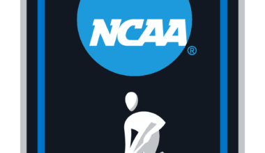 Scranton vs Bowdoin DIII Field Hockey Game Summary - November 12th, 2025