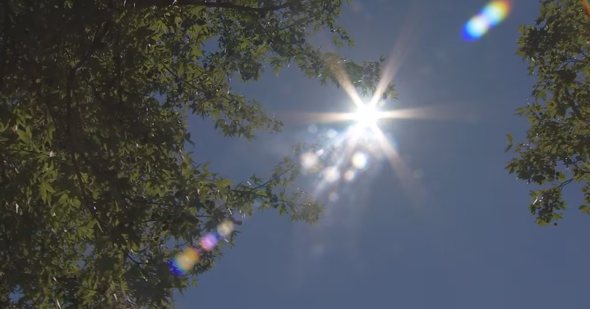 Disaster relief offered to Western Pennsylvania small businesses, nonprofits affected by drought – WPXI
