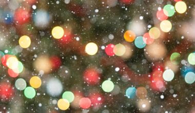 Feeling festive? Here’s where you can find holiday light shows around the Pittsburgh region – WPXI