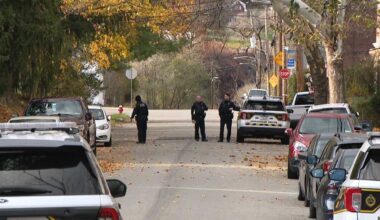 Multiple vehicles damaged after shots fired in Pittsburgh's Lincoln-Lemington Belmar