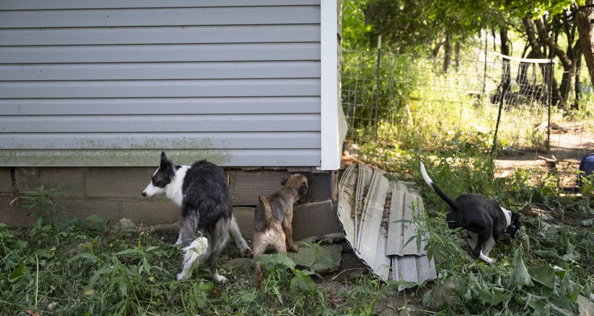 CP Year in Review: Staff writer Rachel Wilkinson’s favorite stories of 2025 - Pittsburgh City Paper