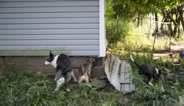 CP Year in Review: Staff writer Rachel Wilkinson’s favorite stories of 2025 - Pittsburgh City Paper