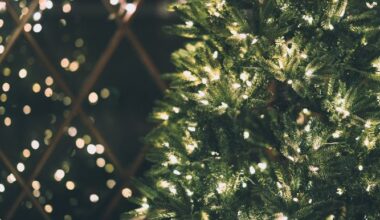 How to recycle Christmas trees in Philly instead of putting them out for trash