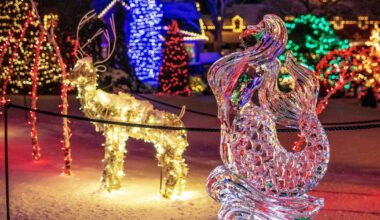 These light shows, ice rinks and gingerbread displays stay open after Christmas