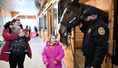 Holiday with Horses open house
